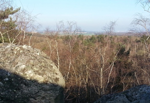 Le saut du postillon