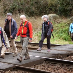 79_Jouy en Josas (78) 10 janv 15