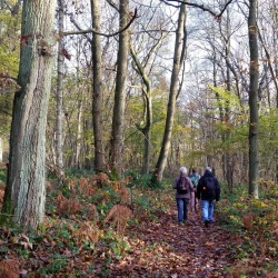 Nesles-la vallée