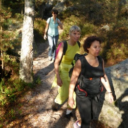 25 bosses Fôret des 3 pignons