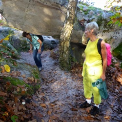 25 bosses Fôret des 3 pignons