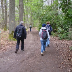 114_Le toit du Vexin (95) 23 avril 16