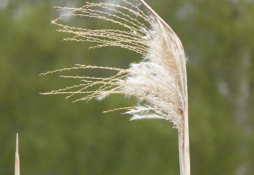 P1030456