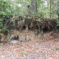 DSCN2827