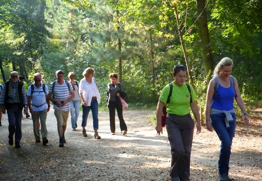 Sentez-vous Sport. Bois de Boulogne