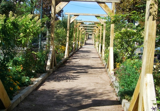 15 Allée pergola accédant à la mairie de Sartrouville