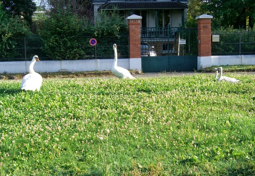 1 Accueil à l'arrivée au Pecq