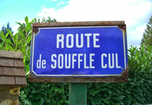 Est-ce la route du pet