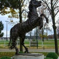 Le cheval est statufié aux Haras