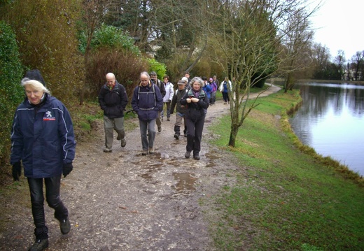 Sur les bords des étangs de Ville d'Avray (92)