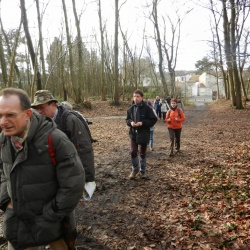 Forêt de fausses reposes (92)