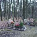 17_Cimetière dans la forêt communale de St Aubin