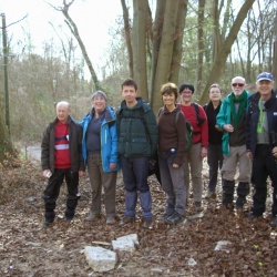 La Beaumontoise (95)