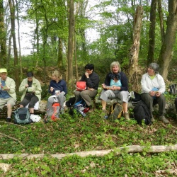 St Remy les Chevreuses