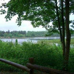 St Germain - Etang du Cora
