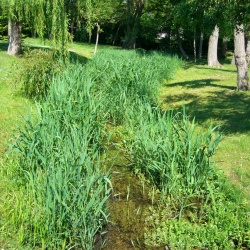 La Ferté-Alais-Boutigny