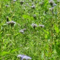 DSCN1708
