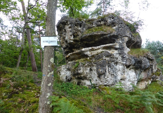 P1000531