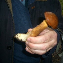 Voisins le Bretonneux