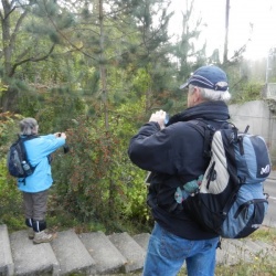 St Germain en Laye-Croix de Noailles