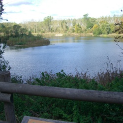 St Germain en Laye-Croix de Noailles