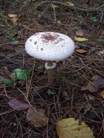 CIMG5645