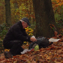 Parmain_Nesles_Valmondois