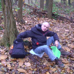 Parmain_Nesles_Valmondois