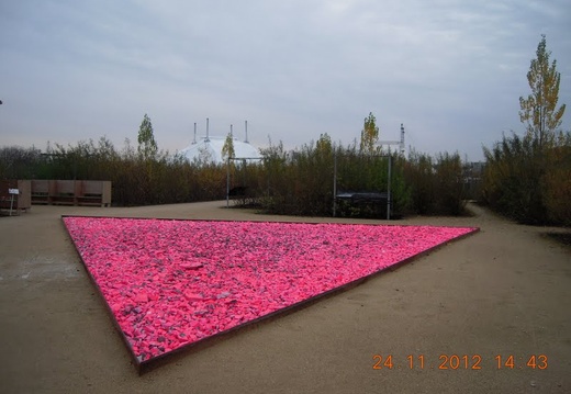 DSCN8400
