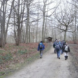 Bonnelles (78)
