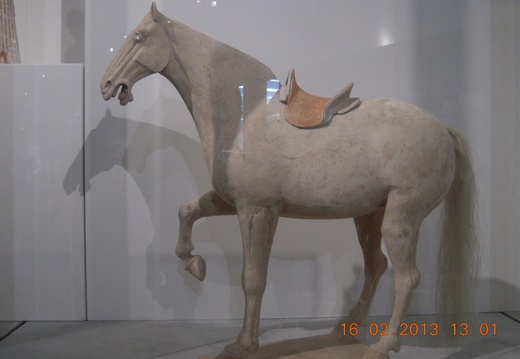DSCN8896