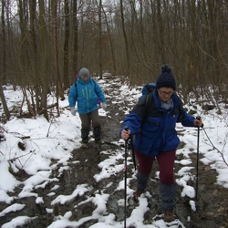 Forêt de Montmorency 2013