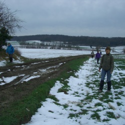Forêt de Montmorency 2013