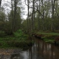IMG_3905