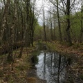 IMG_3930