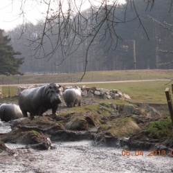 Villiers le Mahieu