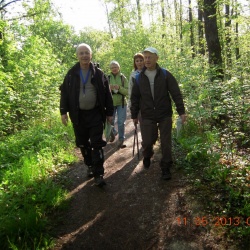 Bois d'Arcy