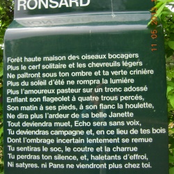 Bois d'Arcy