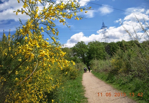 DSCN9743