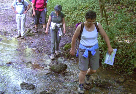 Pas de petit pont pour franchir le Choisel - 3