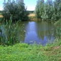 CIMG6722