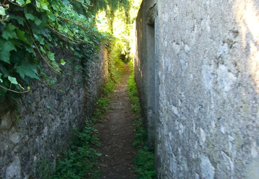CIMG6749