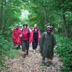 La Verrière-St Lambert