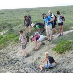 Baie de Somme