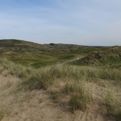 116_Cotentin Agon Coutainville (50)