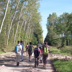 Valence en Brie sept 2011