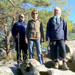 Saison 2011-2012