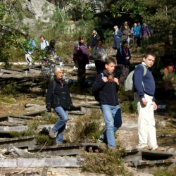 Larchant_forêt de La Commanderie