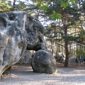 Sous le regard de l'éléphant