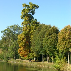 Festival régional de randonnée 2011